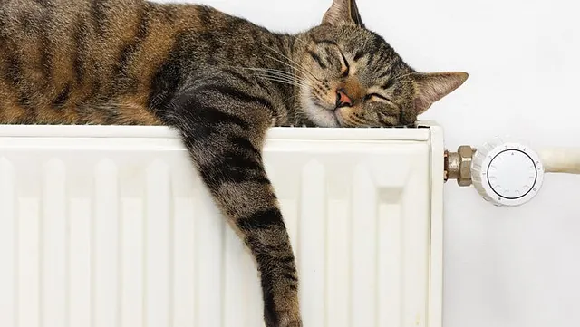 One of our customers radiator